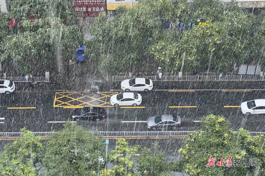 第1315页