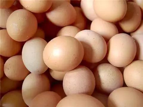 第1308页