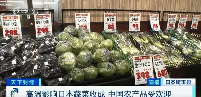 游戏专题 第203页