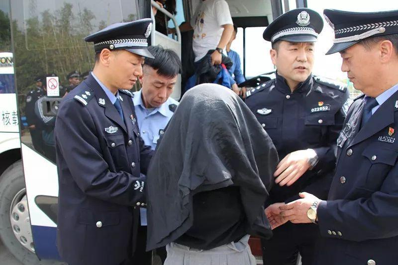 游戏专题 第201页