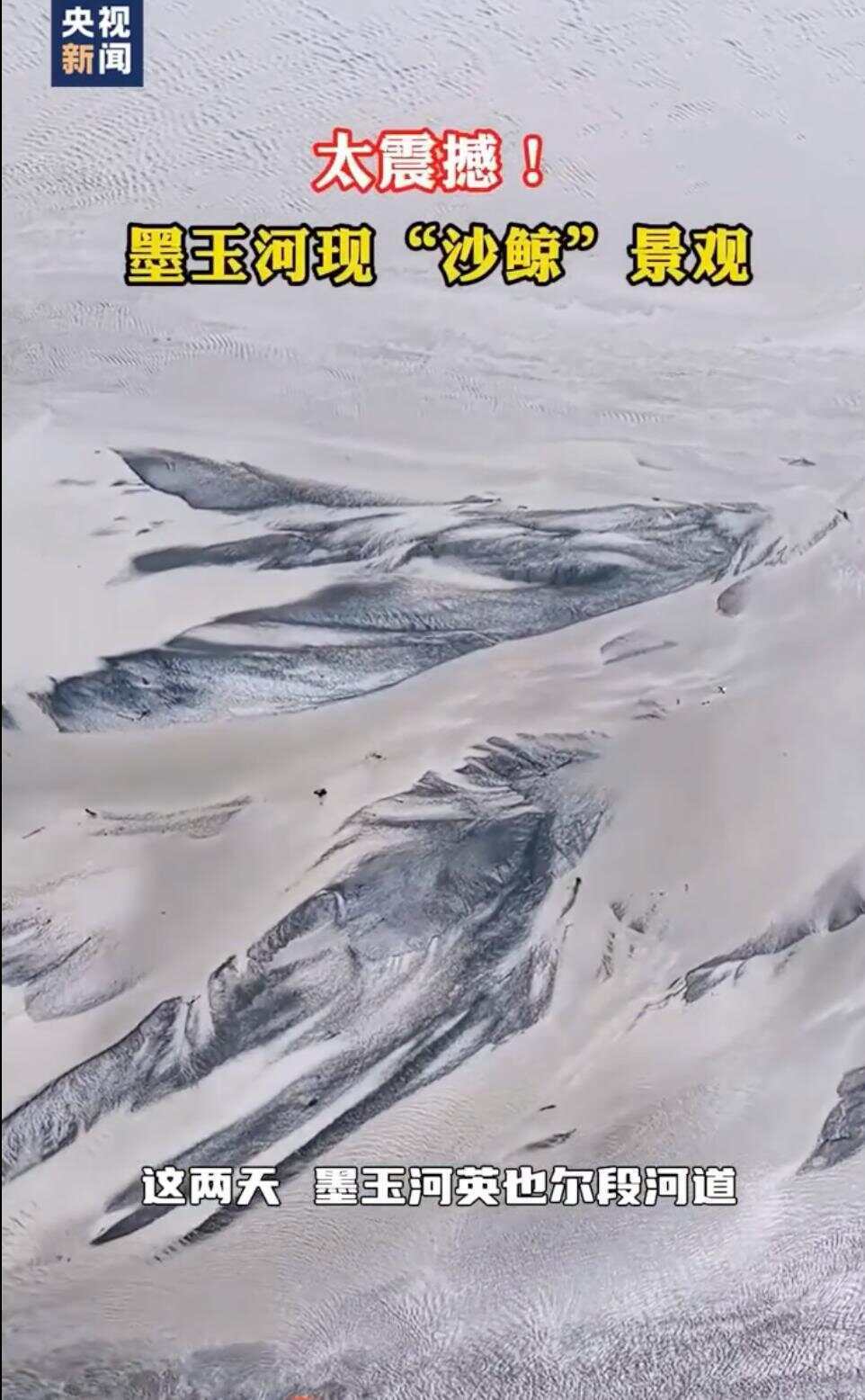 港澳新闻 第155页