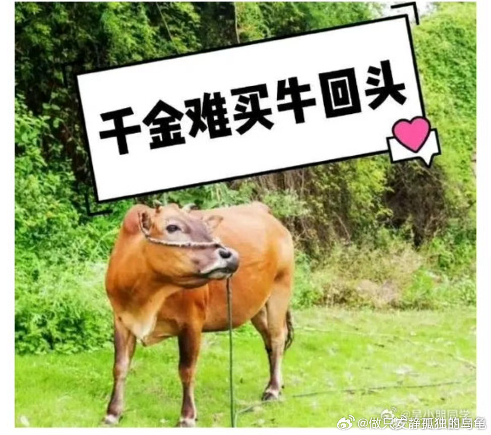 港澳新闻 第138页
